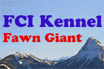 FCI Kennel Fawn Giant